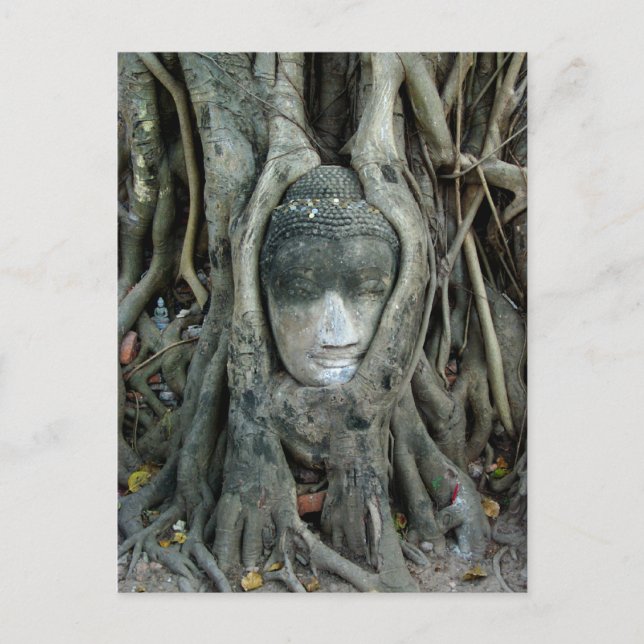 Postal Cabeza de Buda (Anverso)