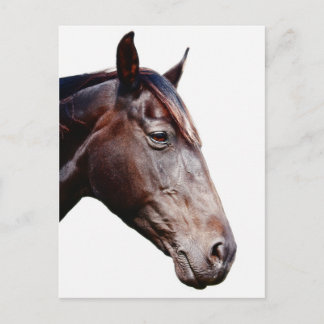 Postal Cabeza de caballo.