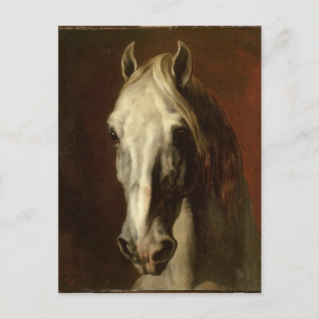 Postal Cabeza de caballo blanco de Theodore Gericault (Anverso)