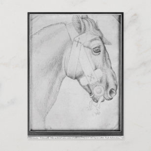 Postal Cabeza de caballo, del álbum The Vallardi