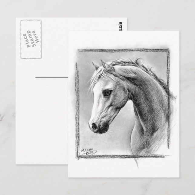 Postal Cabeza de caballo Dibujo de carbón vegetal Arte eq (Anverso / Reverso)