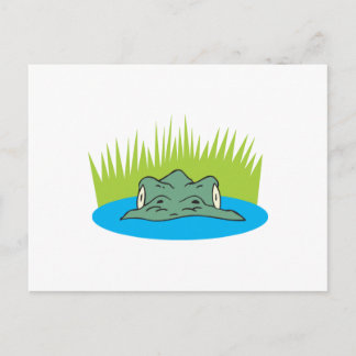 Postal cabeza de cocodrilo en el agua