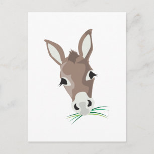Postal Cabeza de Donkey