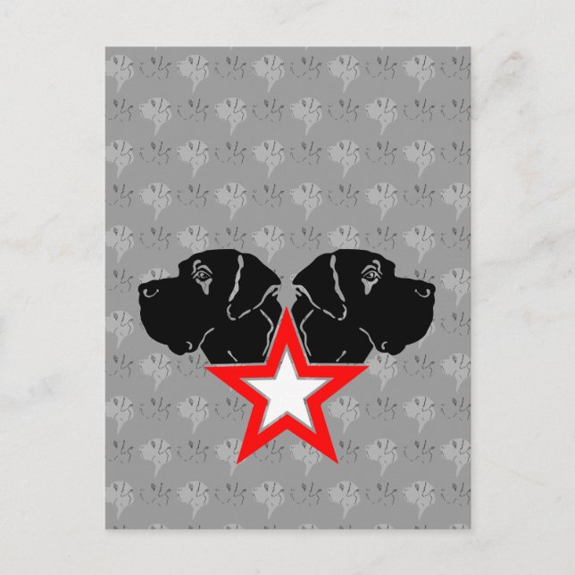 Postal Cabeza de estrella del gran danés (Anverso)