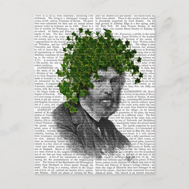 Postal Cabeza de la planta de Ivy Head (Anverso)