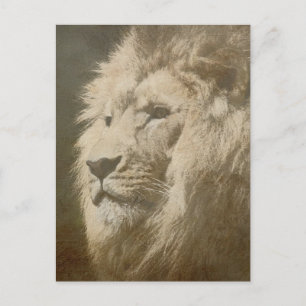 Postal Cabeza de León El Rey Plantilla de Arte Pop Modern