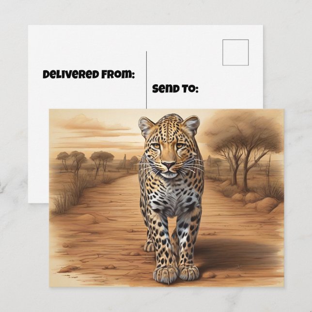Postal Cabeza de Leopardo Africano (Anverso / Reverso)