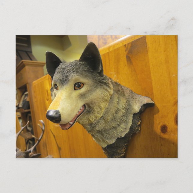 Postal Cabeza de lobo decorativa (Anverso)