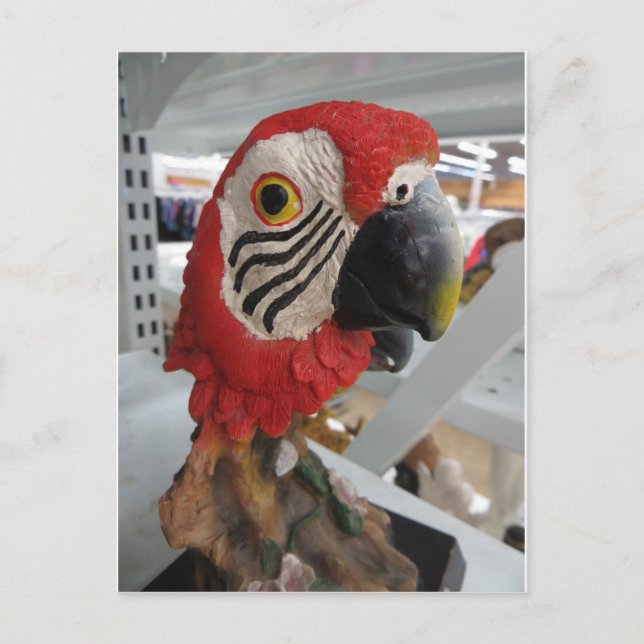 Postal Cabeza de paro (Anverso)