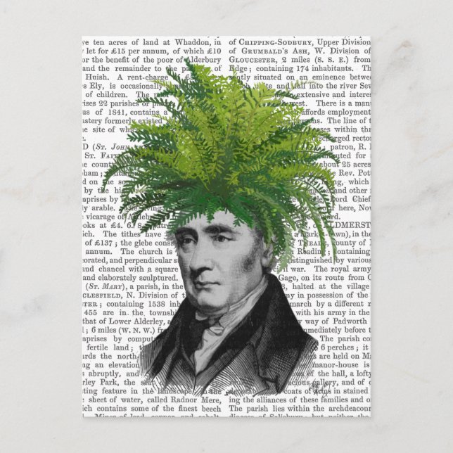 Postal Cabeza de planta Fern Head (Anverso)