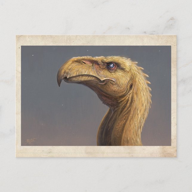 Postal Cabeza de Talon - Postcard (Anverso)
