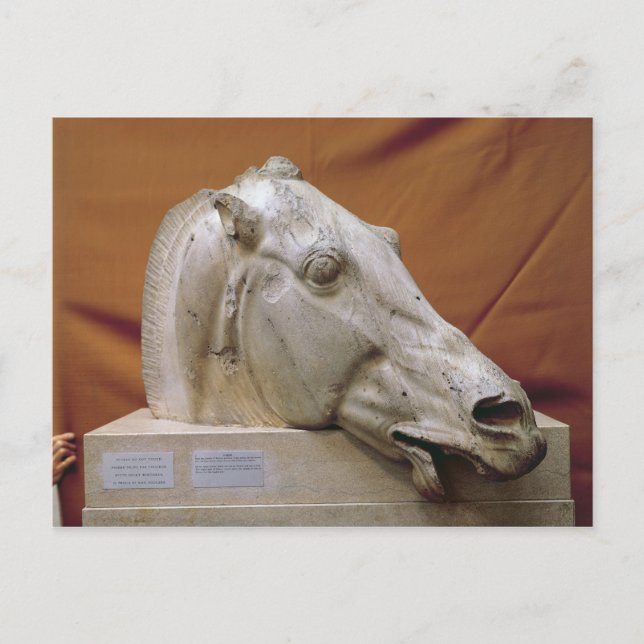 Postal Cabeza de un caballo de Selene (Anverso)