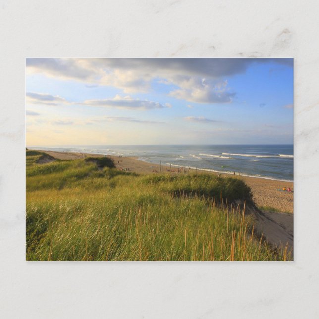 Postal Cabeza del Meadow Beach Truro Cape Cod (Anverso)