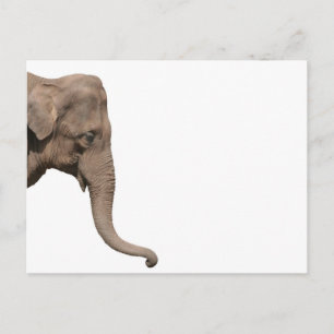 Postal Cabeza elefante