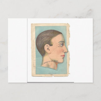 Postal Cabeza fotográfica de anatomía vintage