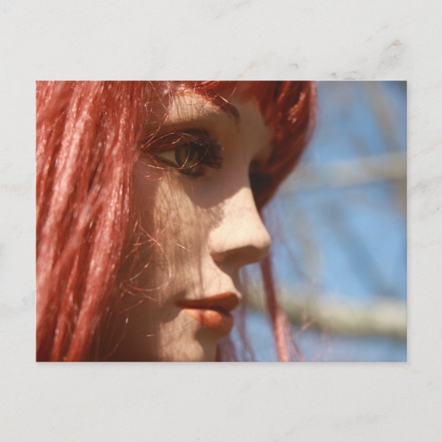 Postal Cabeza roja (Anverso)