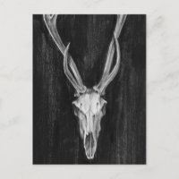 Cabeza Rustic Deer Animal