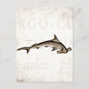 Postal Cabeza vieja de martillo del tiburón martillo de l