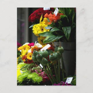 Postal Cabezas de disquete