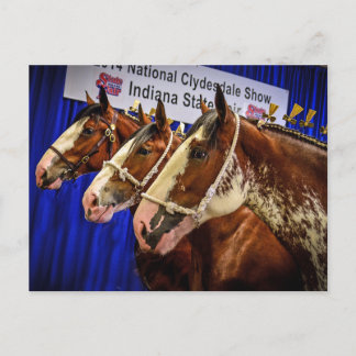 Postal Cabezas del caballo de hierro 3