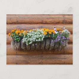 Postal Cabina de registro del plantador de flores