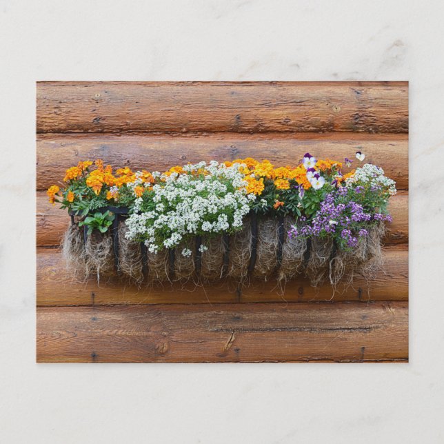 Postal Cabina de registro del plantador de flores (Anverso)