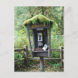 Postal Cabina de teléfono cubierta de Moss