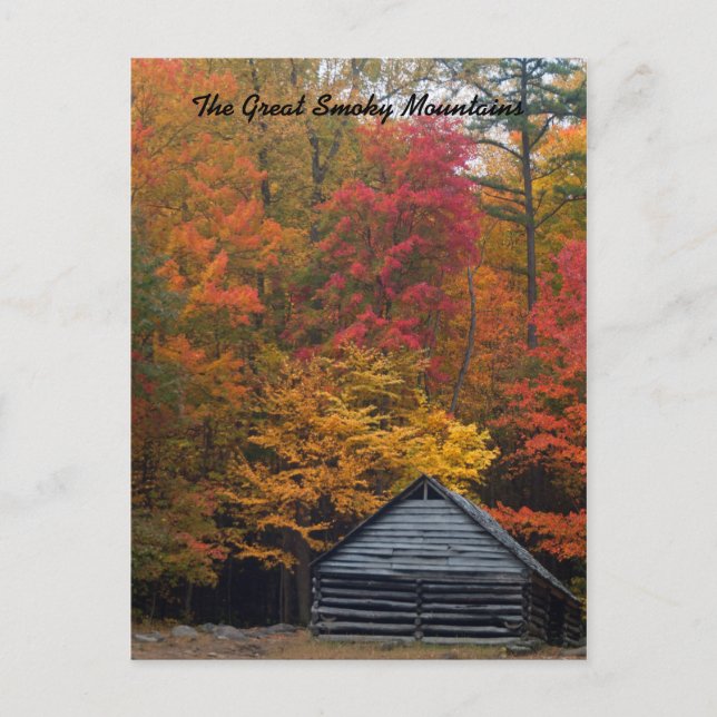 Postal Cabina en los bosques (Anverso)