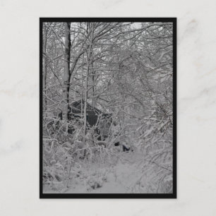 Postal Cabina en los bosques