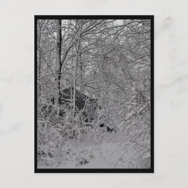 Postal Cabina en los bosques (Anverso)