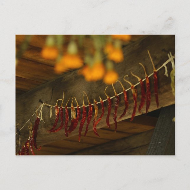 Postal Cabina Lincoln Log (Anverso)