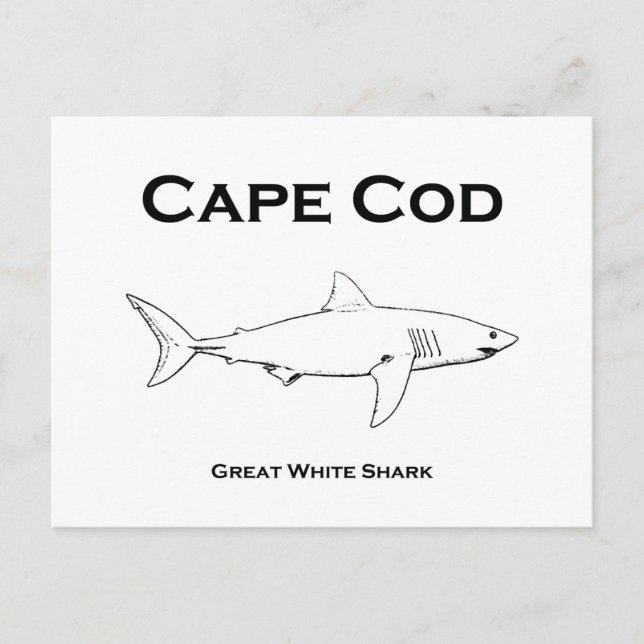 Postal Cabo Cod Massachusetts Gran Logo De Tiburón Blanco (Anverso)