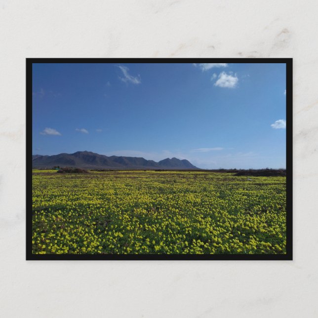 Postal Cabo de Gata, Andalucía (España) (Anverso)