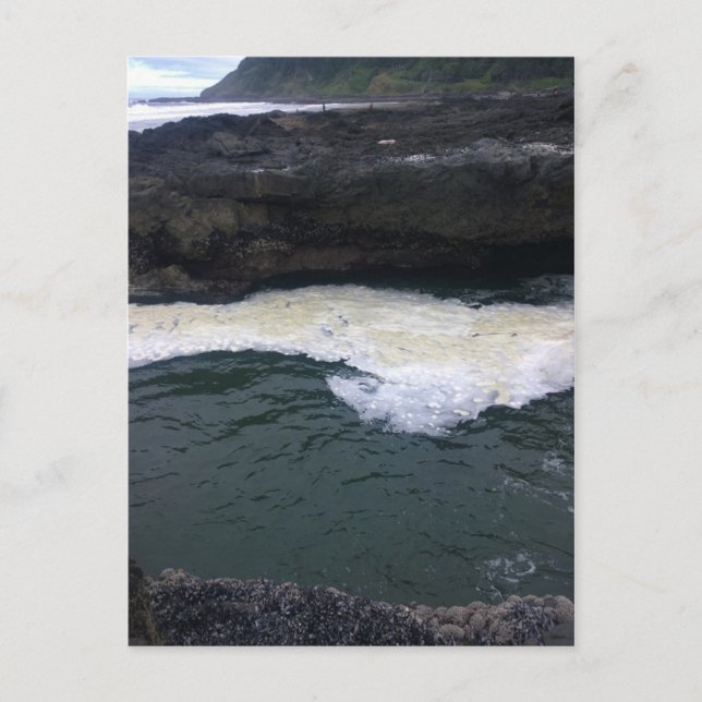 Postal Cabo Perpetua, Costa de Oregón (Anverso)