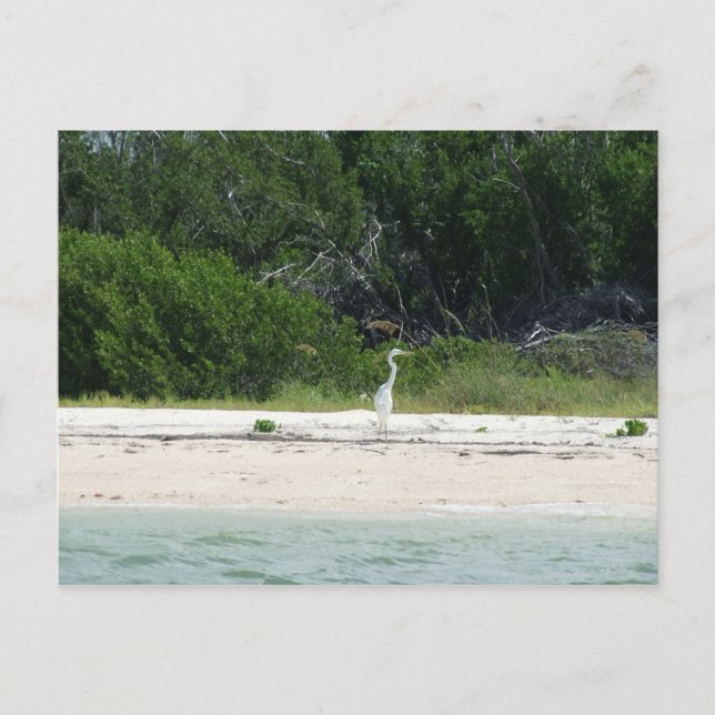 Postal Cabo Sable, Fl. (Anverso)