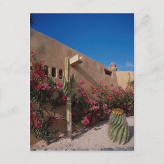 Postal Cabo San Lucas, Baja, México