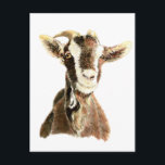 Postal Cabra, animal, Mascota de granja<br><div class="desc">Esta linda cabra con una mancha en el ojo para los que han aprendido a amarlos.</div>