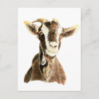 Cabra, animal, Mascota de granja