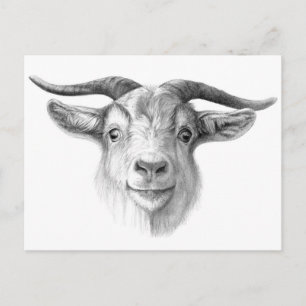Postal Cabra curiosa G124