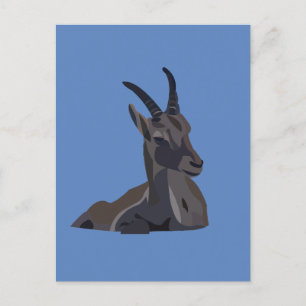 Postal Cabra de Arte Animal Ibex Goat