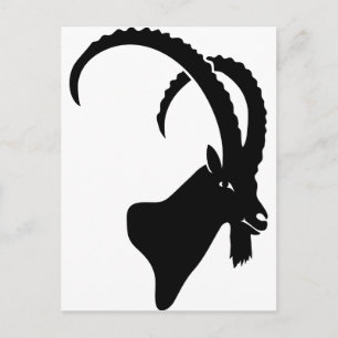 Postal cabra de montaña de steinbock capricorn ibex escal