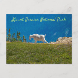 Postal Cabra de montaña en Panhandle Gap Mt. Rainier