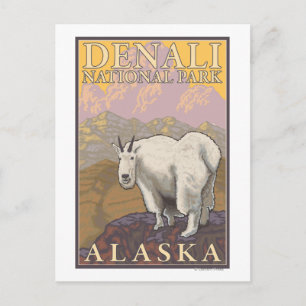 Postal Cabra de montaña - Parque nacional Denali, Alaska