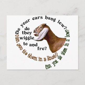 POSTAL ¿CABRA DE NUBIAN - SUS OÍDOS CUELGAN BAJO?