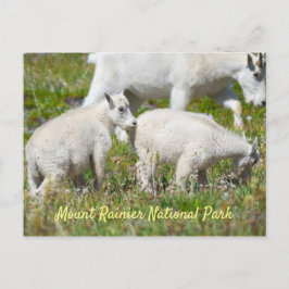 Postal Cabras de Montaña Mount Rainier