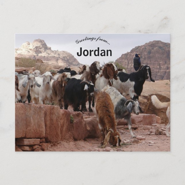 Postal Cabras en Petra Jordan (Anverso)