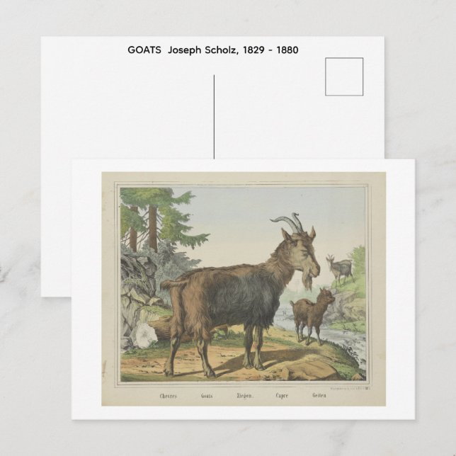 Postal CABRAS  Joseph Scholz, 1829 - 1880   (Anverso / Reverso)