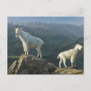 Postal Cabras montesas de Albert Bierstadt