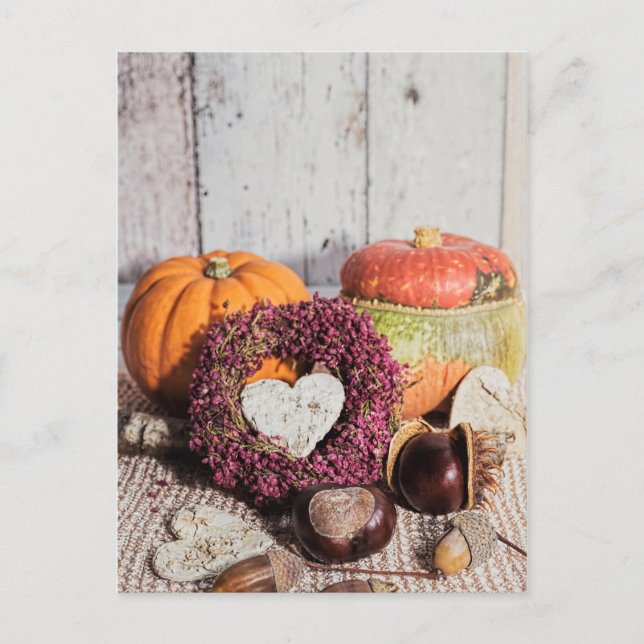 Postal Cacahuete de otoño rústico estacional y vida de ca (Anverso)