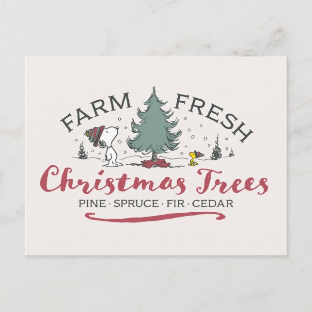 Postal Cacahuetes | Granja Árboles de Navidad frescos (Anverso)